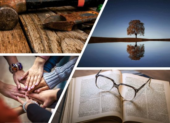 Quadriga Schamkompetenz II