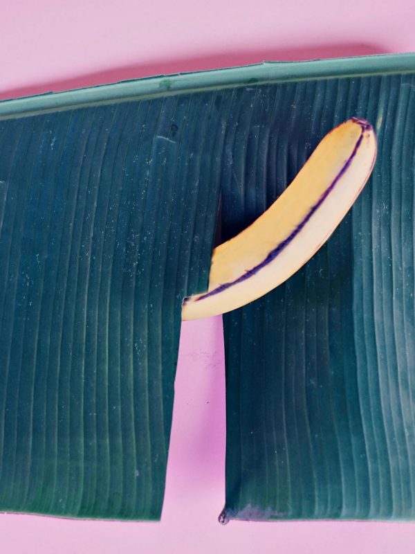 pexels-foundertips-3773668 pexels-foundertips-3773668